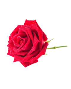 Artificial Flowers 